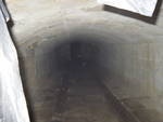 Ghostly orbs in the cellars